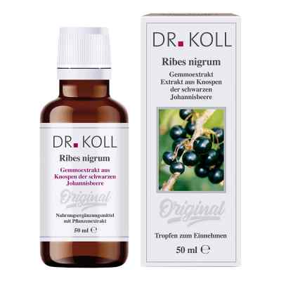 Gemmoextrakt schwarze Johannisbeere krople 50 ml od Dr. Koll Biopharm GmbH PZN 09762510