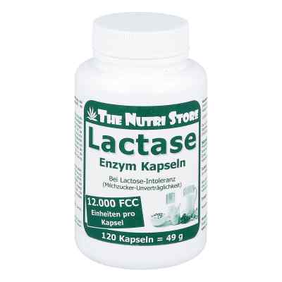 Lactase 12000 Fcc Enzym kapsułki zamów na apo-discounter.pl