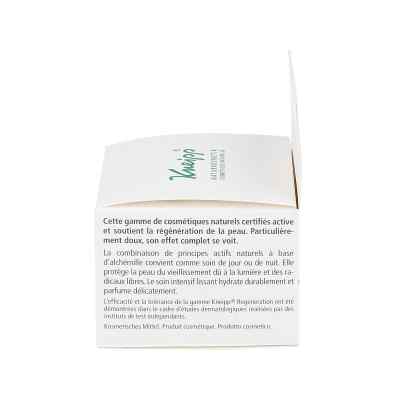 Kneipp Regeneration Krem regeneracyjny do twarzy zamów na apo-discounter.pl