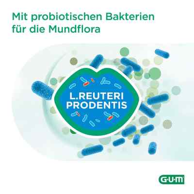 Gum Periobalance tabletki do ssania zamów na apo-discounter.pl