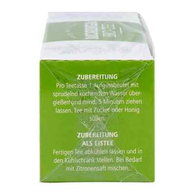 Moringa Bio herbata w torebkach zamów na apo-discounter.pl