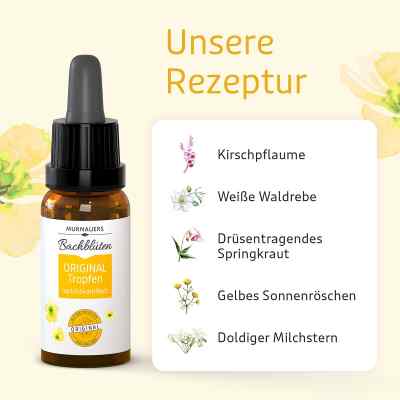Bachblüten Murnauer Original Tropfen nach Doktor bach zamów na apo-discounter.pl