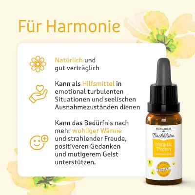 Bachblüten Murnauer Original Tropfen nach Doktor bach zamów na apo-discounter.pl