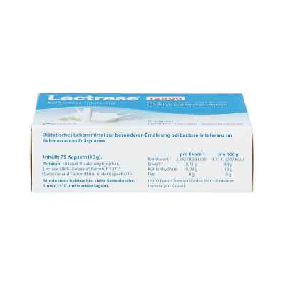 Lactrase 12.000 Fcc Kapseln Lactrase 12.000 Fcc Kapseln