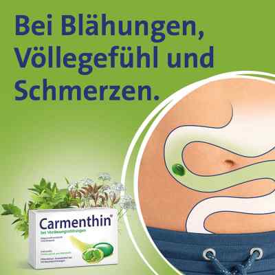Carmenthin bei Verdauungsstörungen mit sine r.Weichkap. Carmenthin bei Verdauungsstörungen mit sine r.Weichkap.