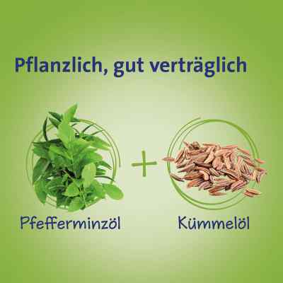 Carmenthin bei Verdauungsstörungen mit sine r.Weichkap. Carmenthin bei Verdauungsstörungen mit sine r.Weichkap.