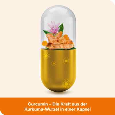 Curcumin-loges kapsułki zamów na apo-discounter.pl