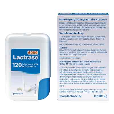 Lactrase 6.000 Fcc Tabletten im Klickspender Lactrase 6.000 Fcc Tabletten im Klickspender