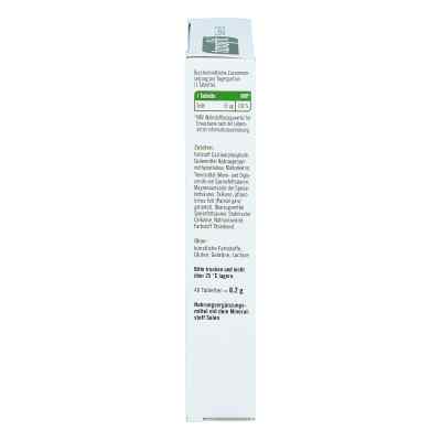 Taxofit Selen 55 Depot Mini-tabletten zamów na apo-discounter.pl