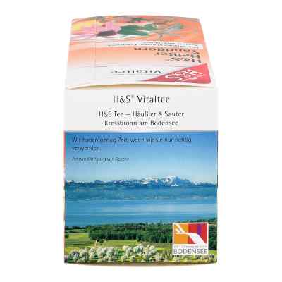 H&s Heisser Sanddorn Vitaltee Filterbeutel zamów na apo-discounter.pl
