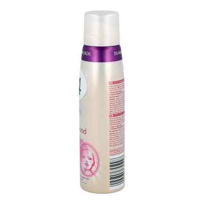 8 x 4 Spray Hollywood female zamów na apo-discounter.pl