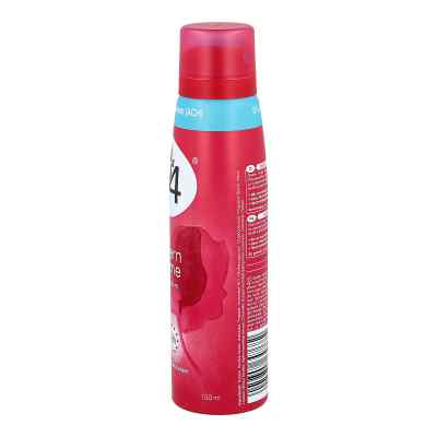 8 x 4 Spray modern Charme 8 x 4 Spray modern Charme