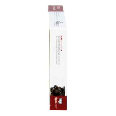 Fipralone 134 mg Lösung zur, zum auftropf.f.mit.gr.hunde vet zamów na apo-discounter.pl