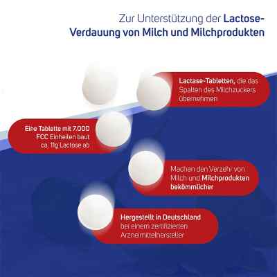 Lactase 7.000 FCC tabletki zamów na apo-discounter.pl