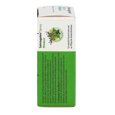 Salviagalen Spray Madaus Salviagalen Spray Madaus