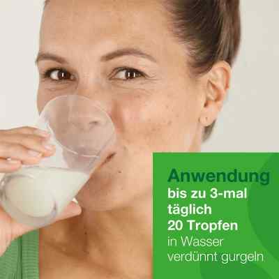 Salviathymol N Madaus Tropfen Salviathymol N Madaus Tropfen