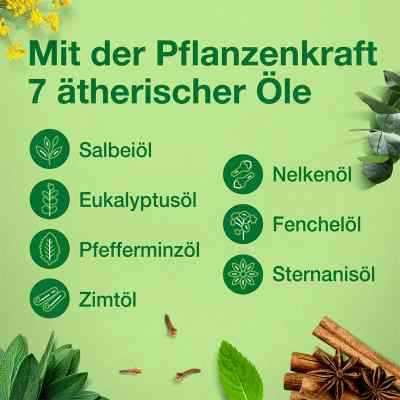 Salviathymol N Madaus, krople zamów na apo-discounter.pl