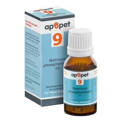 Apopet Schüssler-salz Nummer 9 Natrium phosphoricum D 6 veteri zamów na apo-discounter.pl