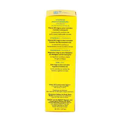 Bach Rr Plus Brausetabletten zamów na apo-discounter.pl