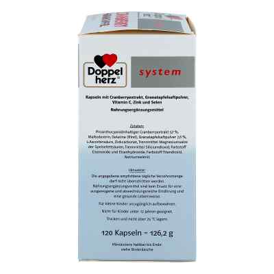 Doppelherz Cranberry+granatapfel system Kapseln zamów na apo-discounter.pl