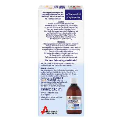 Doppelherz Omega-3 family flüssig system Doppelherz Omega-3 family flüssig system