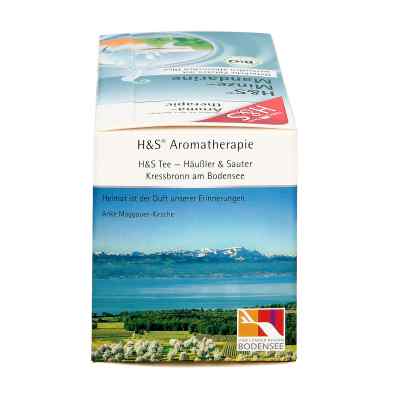 H&s Bio Minze-mandarine Aromatherapie Filterbeutel zamów na apo-discounter.pl