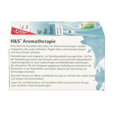 H&s Bio Minze-mandarine Aromatherapie Filterbeutel zamów na apo-discounter.pl