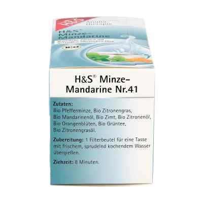 H&s Bio Minze-mandarine Aromatherapie Filterbeutel zamów na apo-discounter.pl