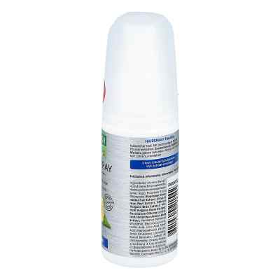 Rausch Hairspray flexible Non-aerosol Rausch Hairspray flexible Non-aerosol