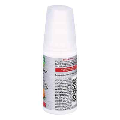 Rausch Hairspray strong Non-aerosol Rausch Hairspray strong Non-aerosol