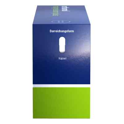 Orthomol Magnesium Plus kapsułki zamów na apo-discounter.pl