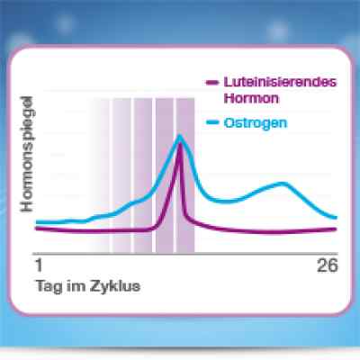 Clearblue Digital test owulacyjny zamów na apo-discounter.pl