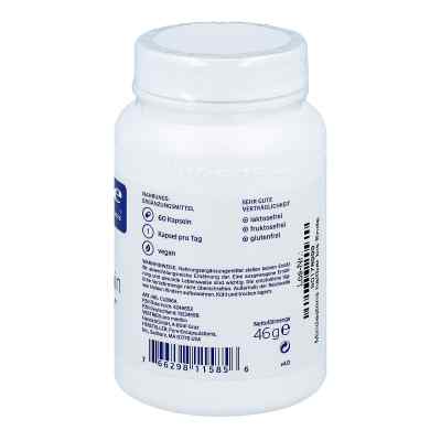 Pure Encapsulations Curcumin + Bioperine kapsułki zamów na apo-discounter.pl