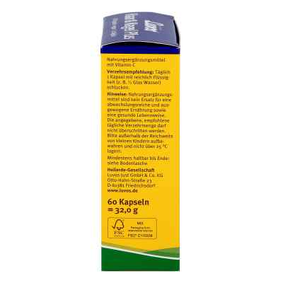 Luvos Heilerde Bio Haar & Nagel Plus Kapseln zamów na apo-discounter.pl