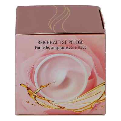 Olivenöl Intensivcreme Rose Nachtcreme zamów na apo-discounter.pl