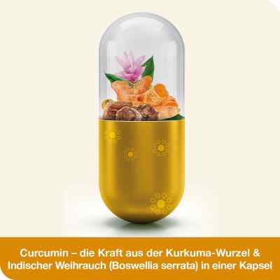 Curcumin-loges plus Boswellia Kapseln zamów na apo-discounter.pl