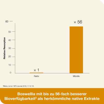 Curcumin-loges plus Boswellia Kapseln zamów na apo-discounter.pl
