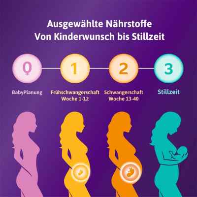 Femibion 1 Frühschwangerschaft Tabletten zamów na apo-discounter.pl
