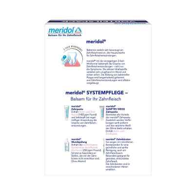 Meridol Zahnpasta Vorteilspack+100 ml Spülung zamów na apo-discounter.pl