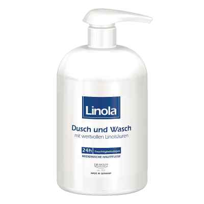 Linola Dusch und Wasch mit Spender zamów na apo-discounter.pl
