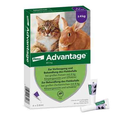 Advantage 80 mg für gr.Katzen und gr.Zierkaninchen 4X0.8 ml od Elanco Deutschland GmbH PZN 09670104
