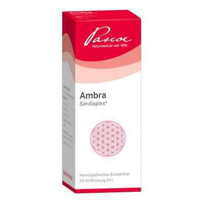 Ambra Similiaplex 50 ml od Pascoe pharmazeutische Präparate PZN 03833580