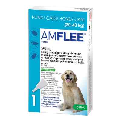 Amflee 268 mg Lösung zur, zum Auftropfen für grosse Hunde 3 szt. od TAD Pharma GmbH PZN 11099846