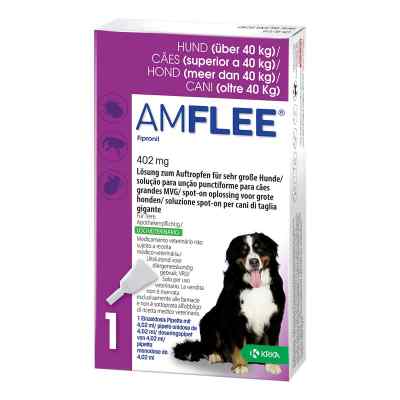 Amflee 402 mg Lösung zur, zum Auftropfen für sehr gr.Hunde 3 szt. od TAD Pharma GmbH PZN 11099869