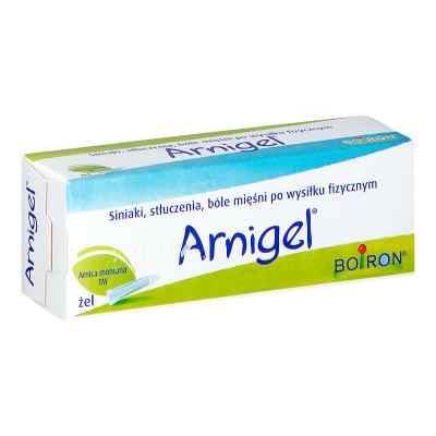 Arnigel żel 45 g od BOIRON S.A. PZN 08302747