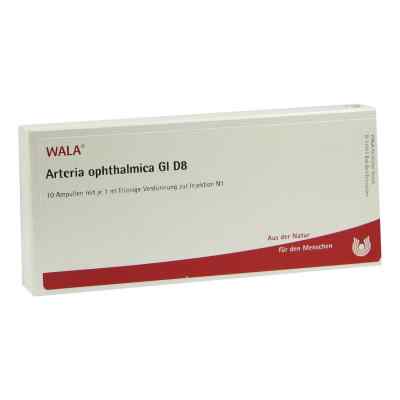 Arteria Ophthalmica Gi D 8 Amp.