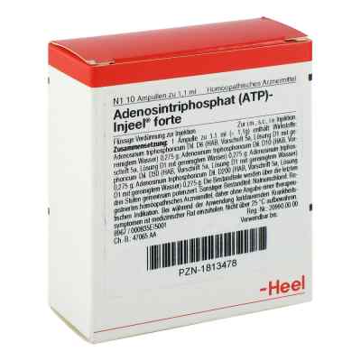 Atp Injeele forte 1,1 ml