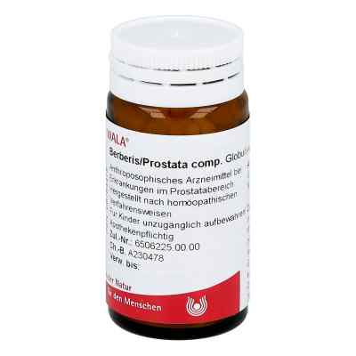Berberis/prostata Comp. Globulki