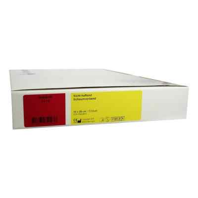 Biatain Schaumverb.10x20cm nichthaft.