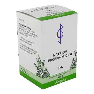 Biochemie 9 Natrium phosphoricum D 6 Tabl. 500 szt. od Bombastus-Werke AG PZN 01073797